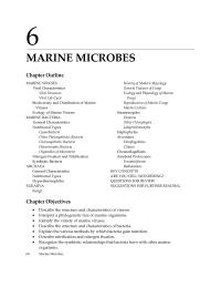 Biology & Life Sciences Chapter 6 There Are Many Video Clips And Websites