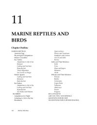 Biology & Life Sciences Chapter 11 Discuss Anatomical Physiological And Behavioral Differences What