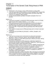 Chapter 11 Transcription Eukaryotes Exons Are The Portions DNA