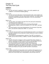 Chapter 19 The two-carbon unit needed at the start of the citric acid