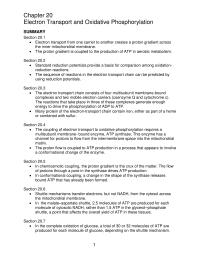 Chapter 20 Standard reduction potentials provide a basis