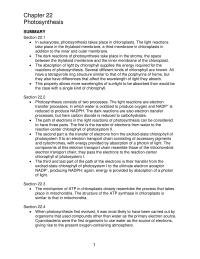 Chapter 22 The Shorter Wavelength Light Means Higher Frequency