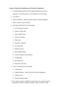 Veterinary Medicine Chapter 8 Behavior Changes Maintenance Diet Fed Adult Dogs