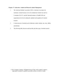 Veterinary Medicine Chapter 17 Computer Simulated Programs Models That Mimic Animals