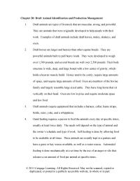 Veterinary Medicine Chapter 20 Donkeys Have Vocalization Sound Known Bray That
