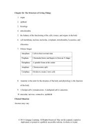 Veterinary Medicine Chapter 26 Anatomy The Term For The Structure The
