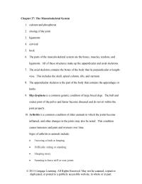 Veterinary Medicine Chapter 27 This Condition Causes Lameness And Pain And