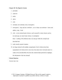 Veterinary Medicine Chapter 28 The Digestive System Peristalsis Carnivore