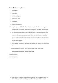 Veterinary Medicine Chapter 29 Arteries pump oxygenated blood throughout the body