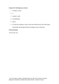 Veterinary Medicine Chapter 30 Bronchi into the lungs where gas exchange occurs