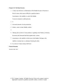 Veterinary Medicine Chapter 32 Incontinence is the inability to hold urine in the bladder