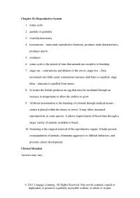 Veterinary Medicine Chapter 33 Neutering The Surgical Removal The Reproductive