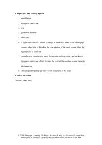 Veterinary Medicine Chapter 36 Strike the&nbsp;tympanic membrane which vibrates