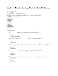 Biology & Life Sciences Chapter 14 Digestion Turning Meal Into Cellular Biochemicals