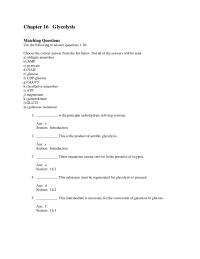 Biology & Life Sciences Chapter 16 Glycolysis Matching Questions Use The Following
