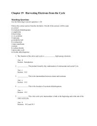Biology & Life Sciences Chapter 19 Harvesting Electrons From The Cycle Matching