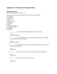 Biology & Life Sciences Chapter 20 The Electron transport Chain Matching Questions Use