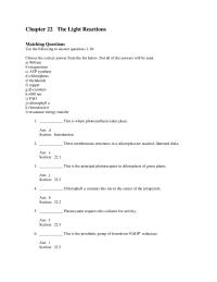 Biology & Life Sciences Chapter 22 The Light Reactions Matching Questions Use