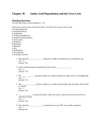 Biology & Life Sciences Chapter 30 Amino Acid Degradation And The Urea