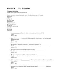 Biology & Life Sciences Chapter 34 The observed error rate in DNA replication
