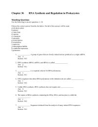 Biology & Life Sciences Chapter 36 Which subunit of E. coli RNA polymerase binds&nbsp;