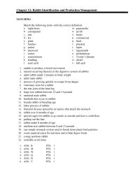 Veterinary Medicine Chapter 12 Rabbit Identification And Production Management