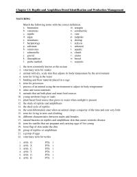 Veterinary Medicine Chapter 13 Reptile And Amphibian Breed Identification