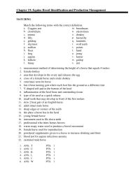 Veterinary Medicine Chapter 19 Equine Breed Identification And Production