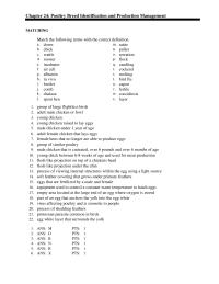 Veterinary Medicine Chapter 24 Poultry Breed Identification And Production