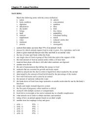 Veterinary Medicine Chapter 37 Animal Nutrition Matching Match The