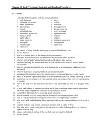 Veterinary Medicine Chapter 40 Basic Veterinary Restraint And Handling