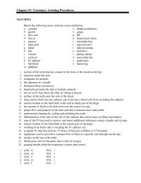 Veterinary Medicine Chapter 47 Veterinary Assisting Procedures Matching Match