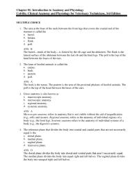 Psychology Chapter 1 the Back Surface The Back Leg Below