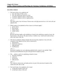 Psychology Chapter 5 The Matrix Blood The Body Isa Erythrocyte&nbsp;