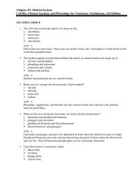 Psychology Chapter 7 D the Costochondral Region The Ribcage The Lumbosacral