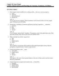 Psychology Chapter 10 The Eustachian Tube Runs From The Middle