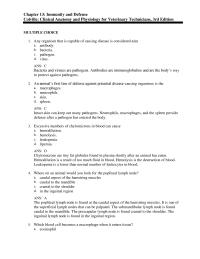 Psychology Chapter 13 Which Specific Type Immunity Involved Antibody&nbsp;&nbsp;