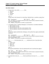 Dentistry Chapter 27 The superior foramina of the incisive canal&nbsp;