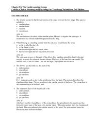 Psychology Chapter 14 The left and right carpal joints are too distal