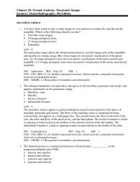 Dentistry Chapter 29 The Mental Foramen Located Near The apex The