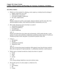 Psychology Chapter 18 B the Medulla Made Primarily Loops Henle The