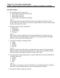 Psychology Chapter 21 D when The Pectoralis Muscle Contracts Brings The