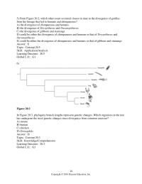 Biology & Life Sciences Chapter 20 which other event occurred closest in time to&nbsp;