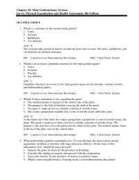 Nursing Chapter 25 Any Dirt Smegma That Has Collected Under