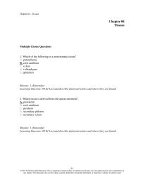 Biology & Life Sciences Chapter 4 Which The Following Meristematic Tissue Parenchyma Cork