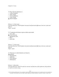Biology & Life Sciences Chapter 4 Rays Function Primarily Vertical Transport Water
