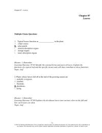 Biology & Life Sciences Chapter 7 Typical Leaves Function The Plant Heat