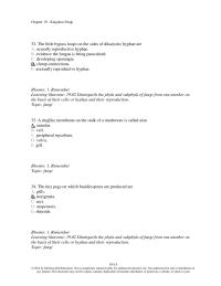 Biology & Life Sciences Chapter 19 The Little By pass Loops The Sides