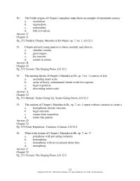 Art History Chapter 5 Word music Relationships Signs Contemplation