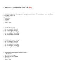 Biology & Life Sciences Chapter 4 Starch Polysaccharide Composed Many Glucose&nbsp;